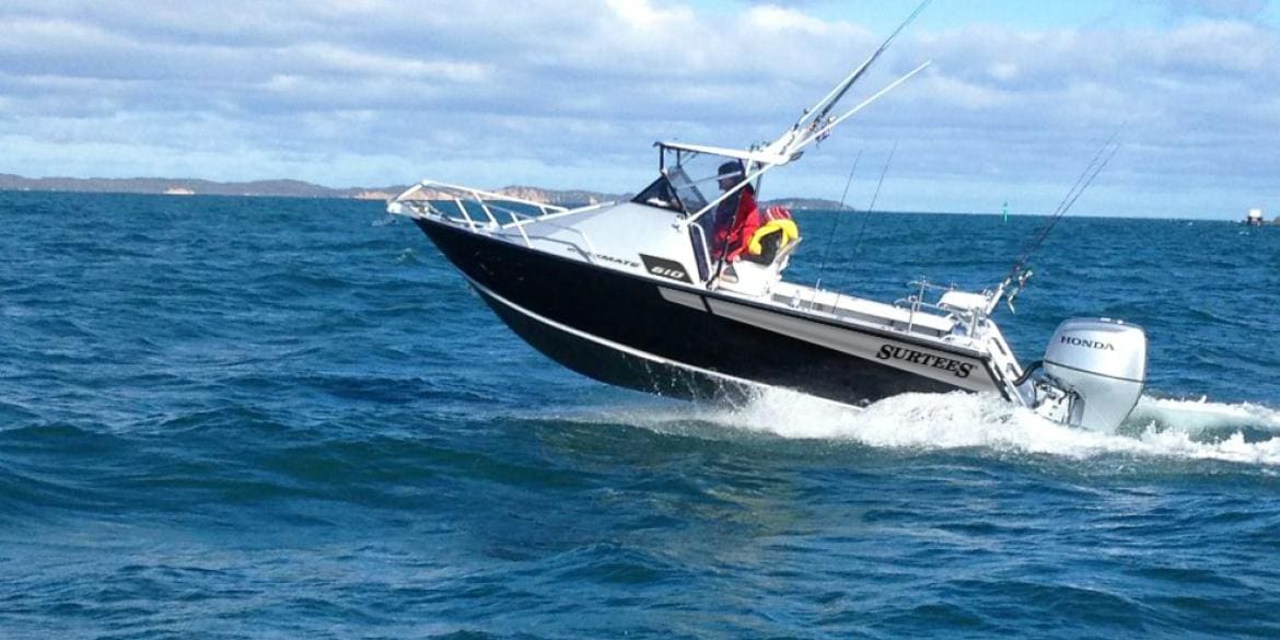 Surtees 610 Workmate